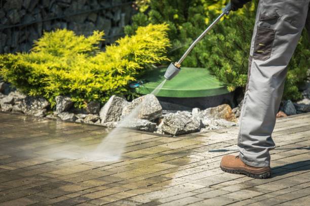 Best Solar Panel Cleaning  in Cleburne, TX